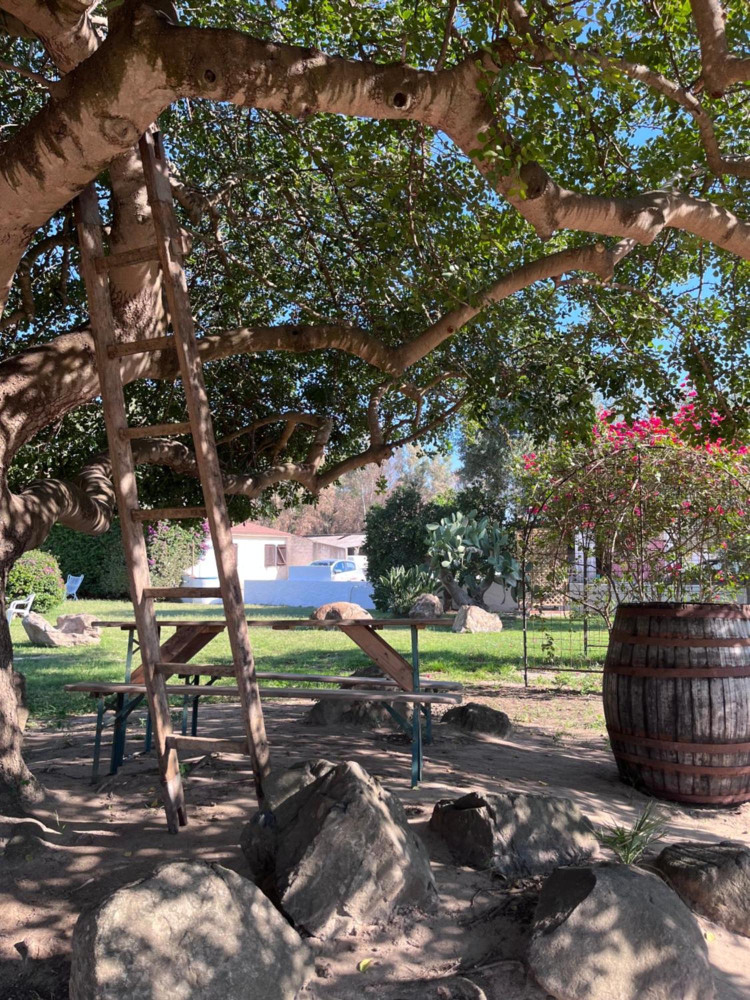 Bidd'E Majori Bed & Breakfast San Priamo Bagian luar foto