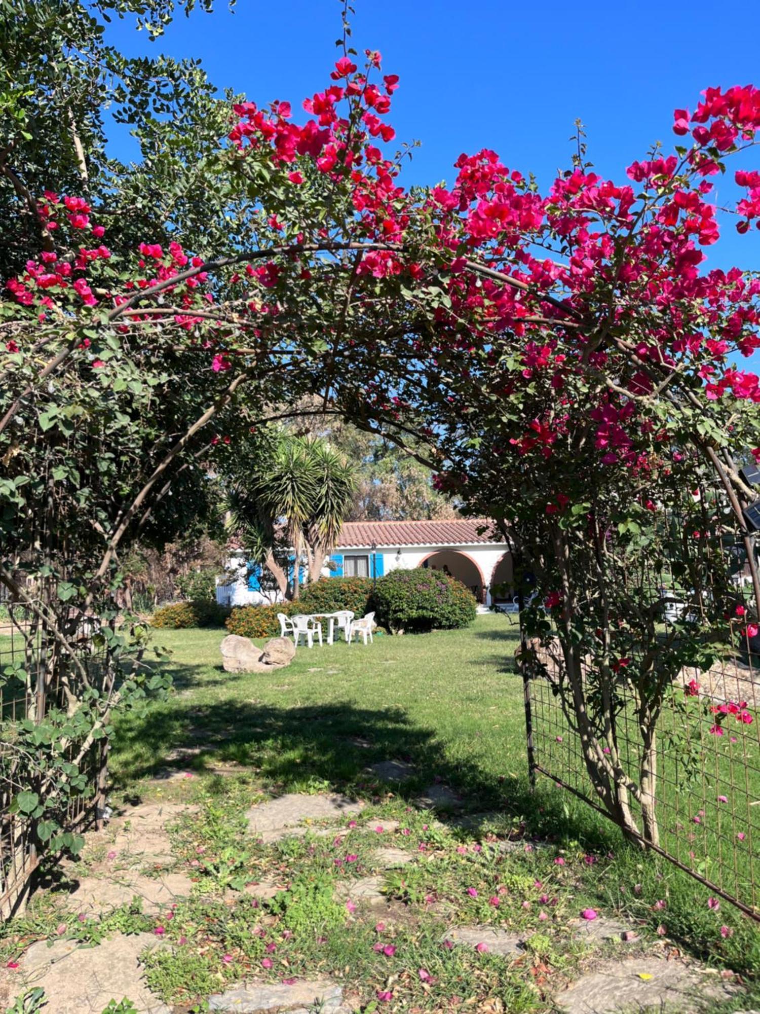 Bidd'E Majori Bed & Breakfast San Priamo Bagian luar foto