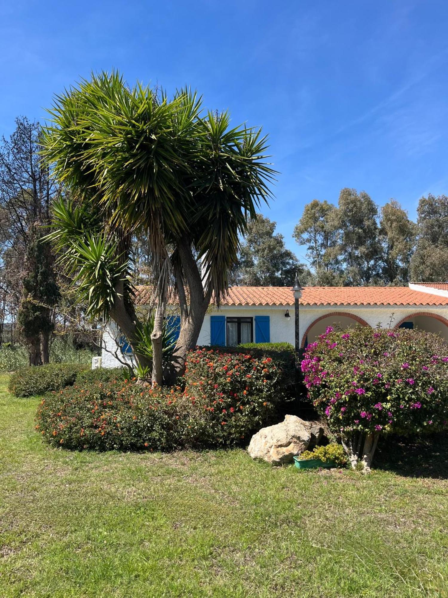 Bidd'E Majori Bed & Breakfast San Priamo Bagian luar foto